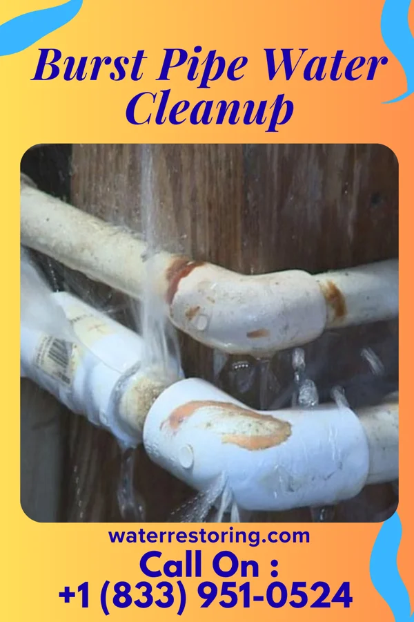 Burst Pipe Water Cleanup in Lebanon Junction, KY