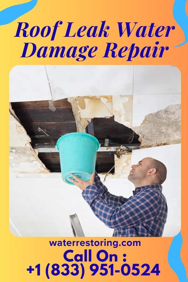 Roof Leak Water Damage Repair in Lebanon Junction, KY
