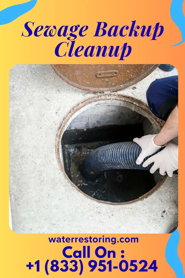 Sewage Backup Cleanup in Lebanon Junction, KY